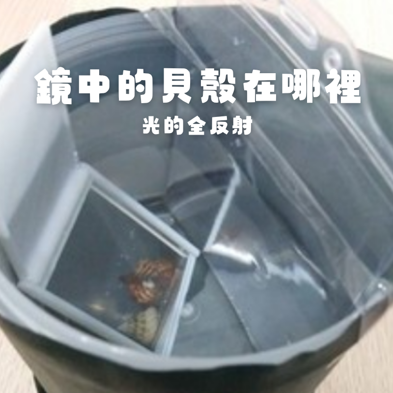 活動圖片