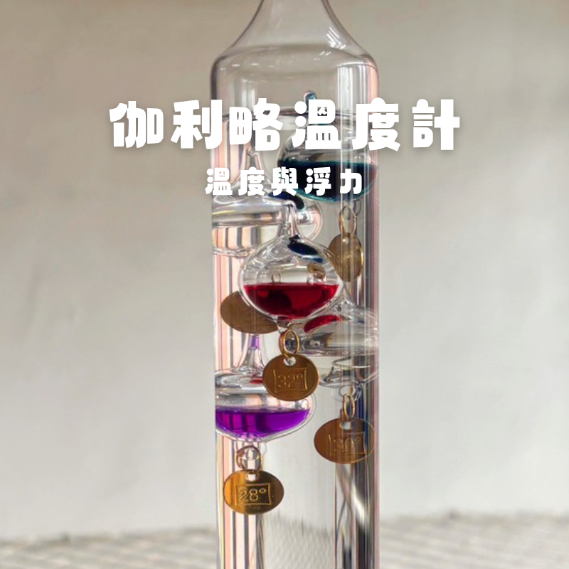 活動圖片