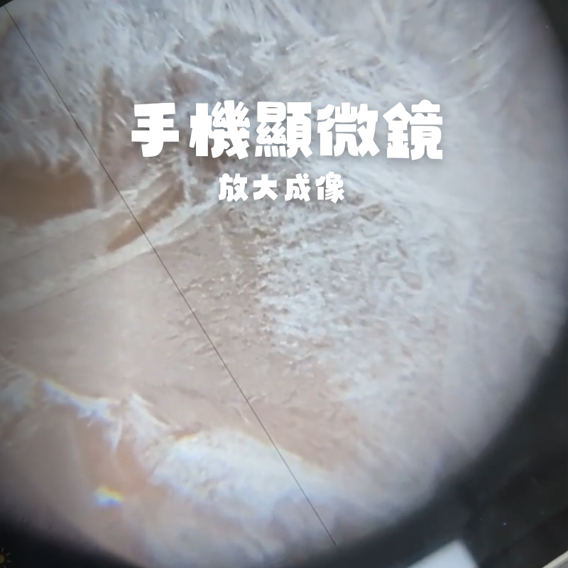 活動圖片