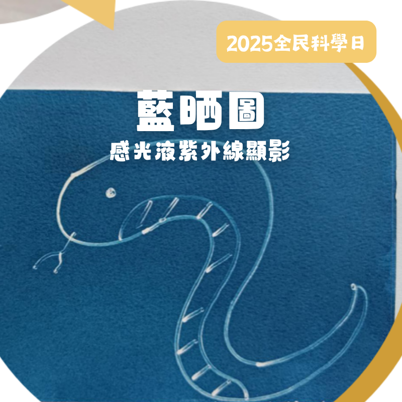 活動圖片