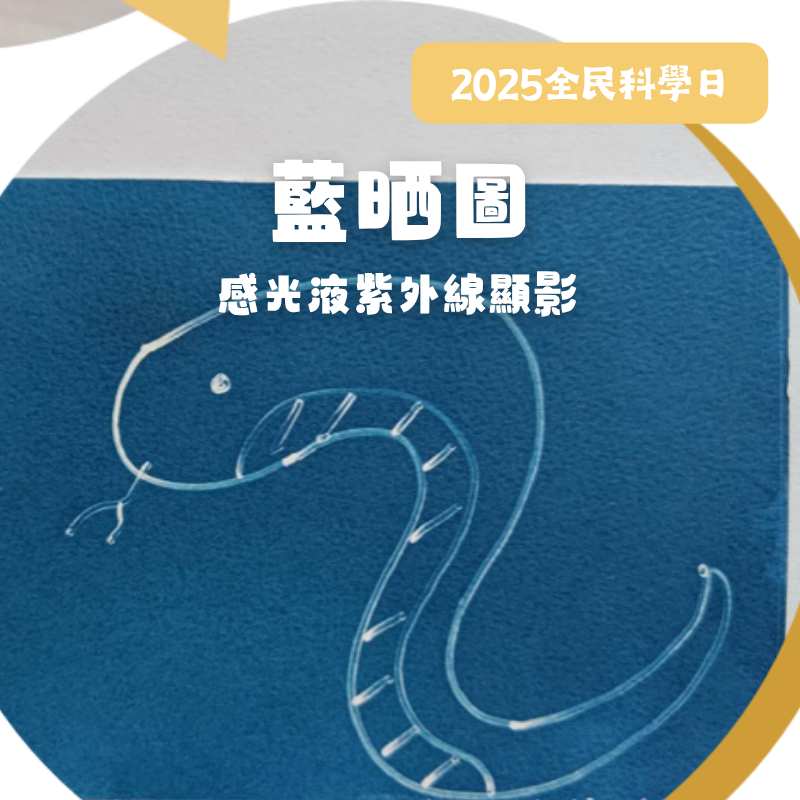 活動圖片