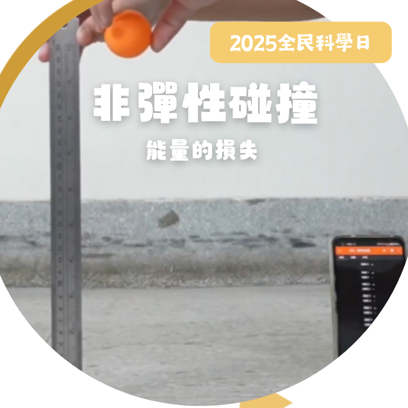 活動圖片