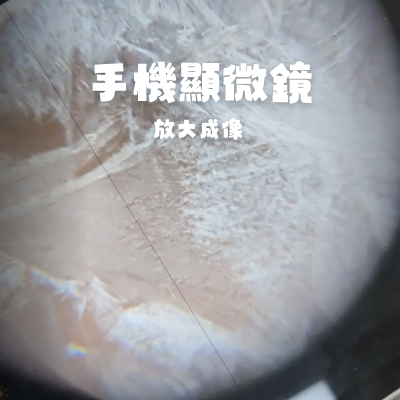 活動圖片