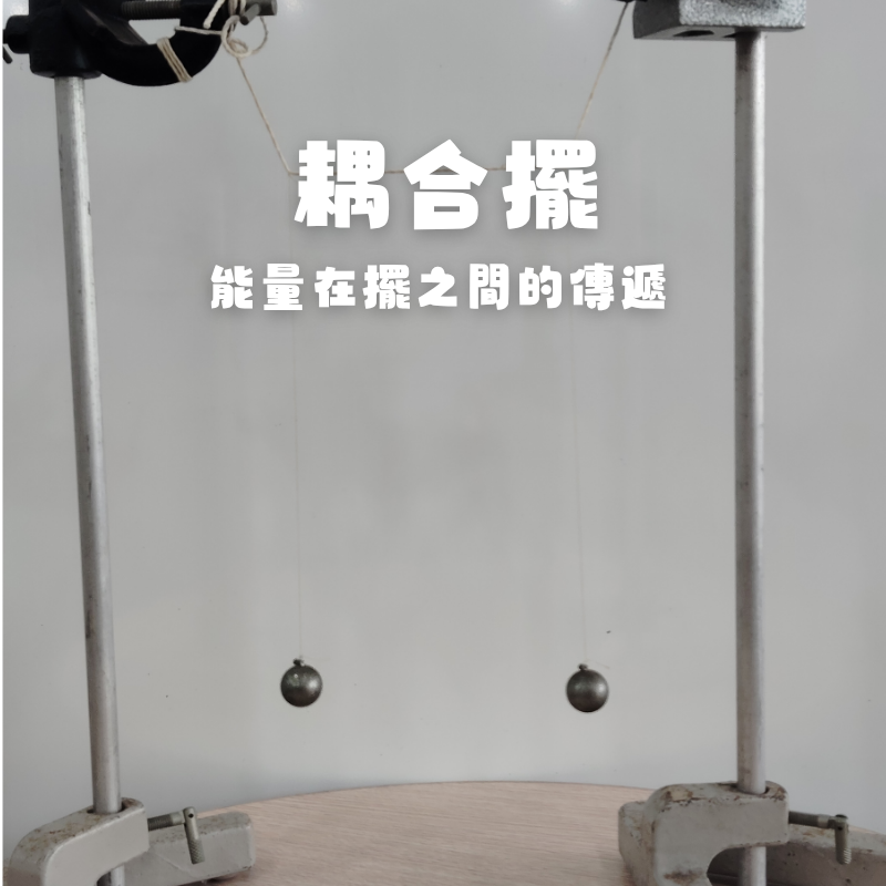 活動圖片